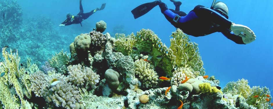Concessioni demaniali marittime all’interno dell’AMP “Isole Egadi”. L’Amministrazione riscrive alla Regione