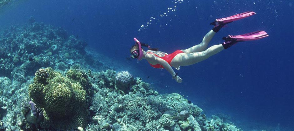 natura-diving-favignana